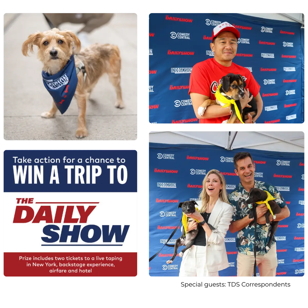 The Daily Show case study