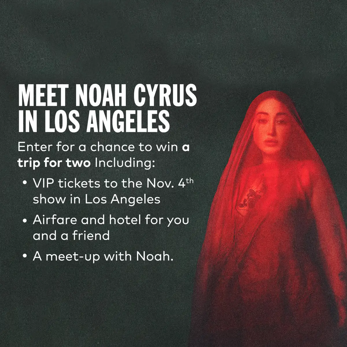 Noah Cyrus 