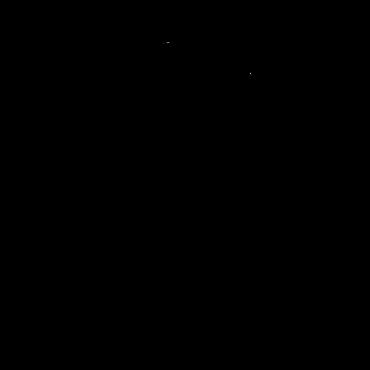 Nola x Nola logo