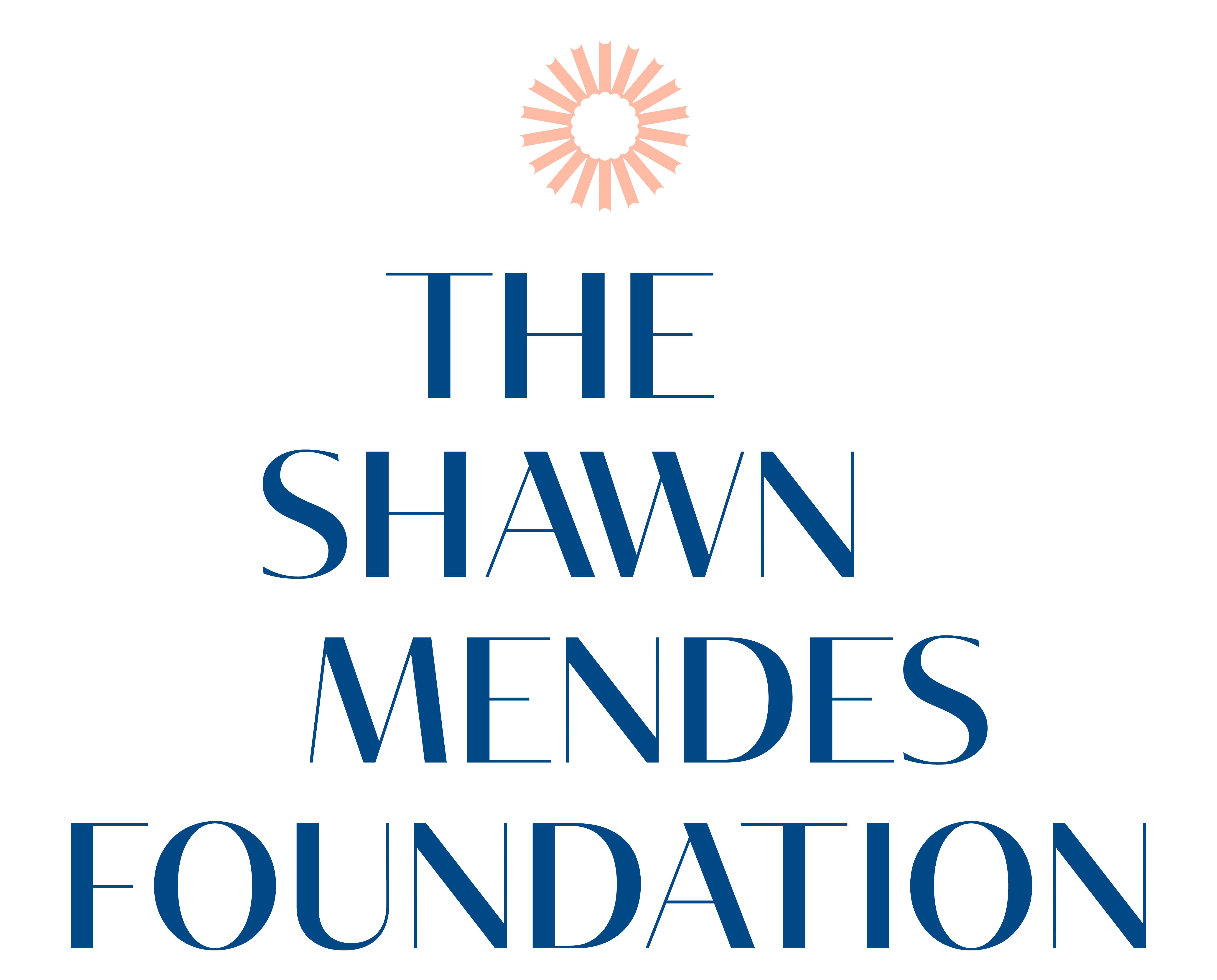 Shawn Mendes Foundation